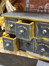 Load image into Gallery viewer, Black Spice Apothecary Cabinet
