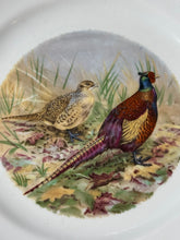 Load image into Gallery viewer, Hunting Bird Plate | Ringneck Pheasant

