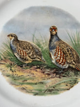 Load image into Gallery viewer, Hunting Bird Plate | Grouse or Partridge |Vintage
