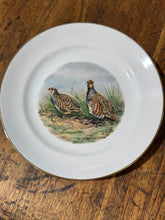 Load image into Gallery viewer, Hunting Bird Plate | Grouse or Partridge |Vintage
