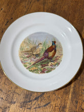 Load image into Gallery viewer, Hunting Bird Plate | Ringneck Pheasant
